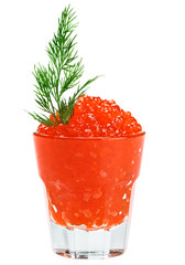 Red salmon caviar in a glass with dill twig