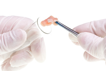 Food control specialist with meat specimen