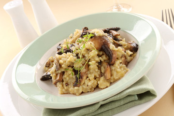 Mushroom Risotto © jabiru