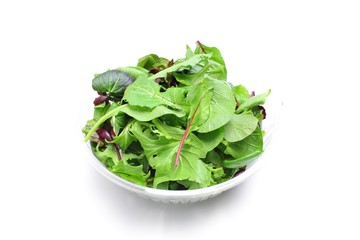 プラスチックトレーに入ったベビーリーフ