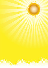 Obraz premium sunrise_sunflower_template