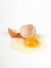 broken egg