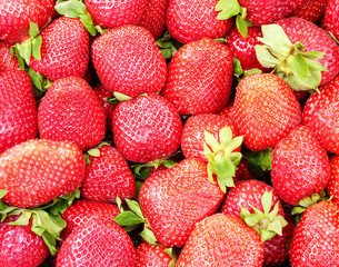 fresh strawberries closeup