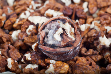 putrid nut