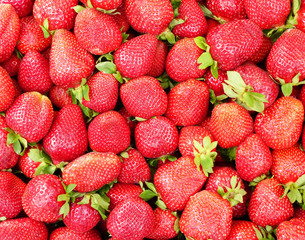 fresh strawberries closeup