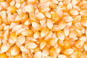 Ingredient of pop corn