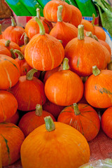 Thai Pumpkins - Portrait