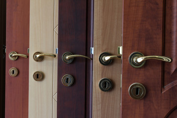 Obraz premium wood door