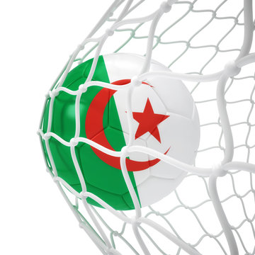Algerian soccer ball inside the net