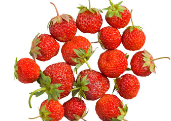 Berries of strawberry 25