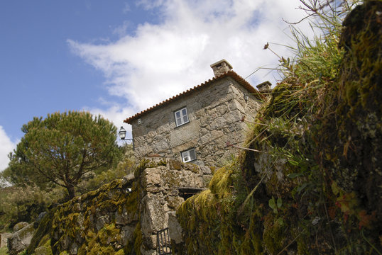 brufe_05