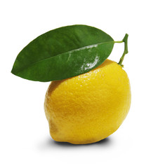 Zitrone mit Blatt