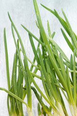 Naklejka premium Vegetables onions fresh