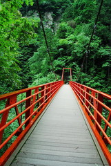 Fototapeta premium つり橋