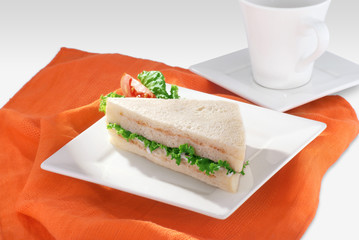 vegetable and chicken sandwich 2