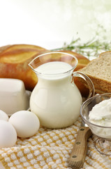 dairy products