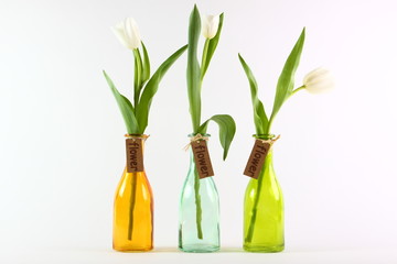 weise Tulpen in Vase