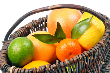 Panier d'agrumes