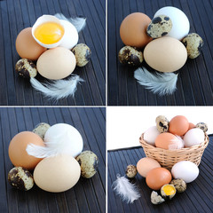 eggs set © belinka