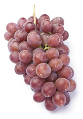 Grape fruit