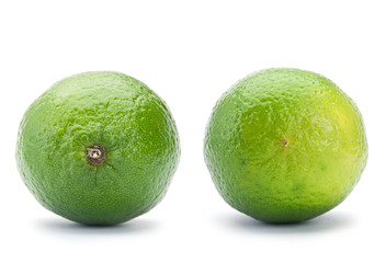 Lime citrus
