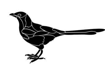 magpie vector