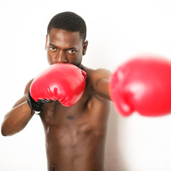Boxer