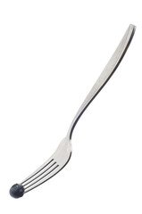 Blueberry on a Fork