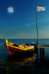 Boat in moonlight