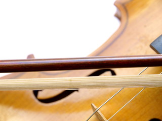 Violin