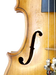 Violin