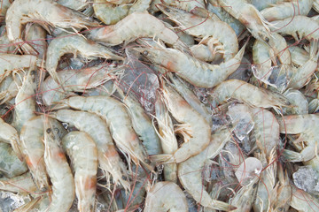 Fresh shrimps at seafood market,East of Thailand