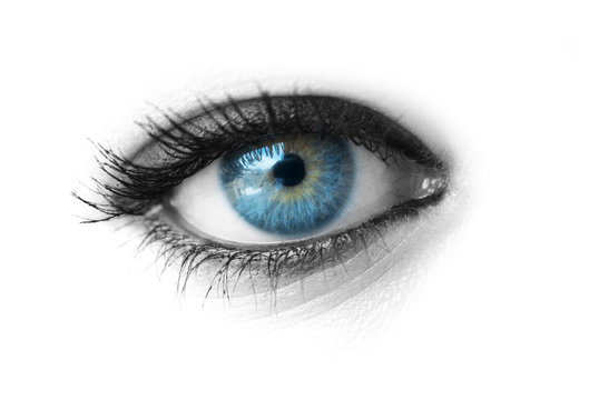 Beautiful blue eye isolated on white