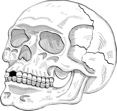 Sige Bilder Durchsuchen 51 Archivfotos, und Videos