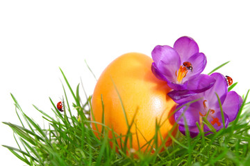 osterei,marienkäfer