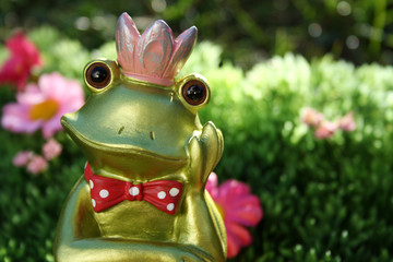 Froschkönig im Grünen