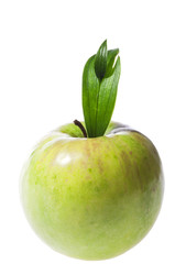 Fresh green apple with green leaf