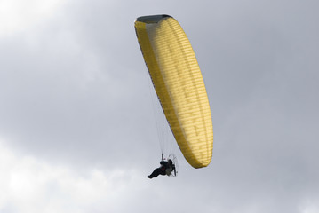 Paraglider