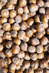 Hazelnuts background