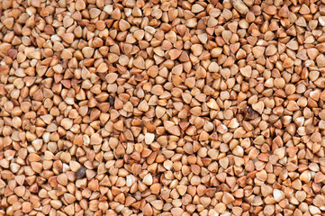 buckwheat texture