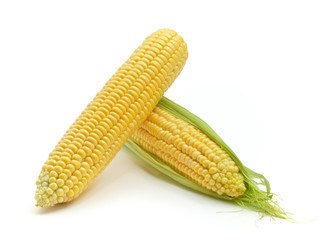Isolated corn