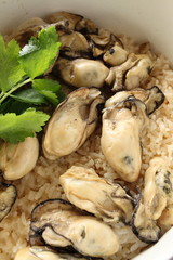 Japanese Oyster rice