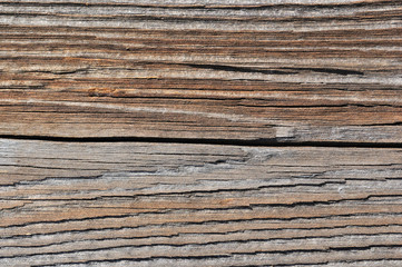 Wooden texture