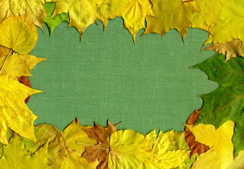 Leaves and canvas