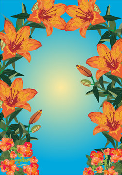 orange lily frame on blue background