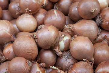 Onions for Sale in Market in Spain