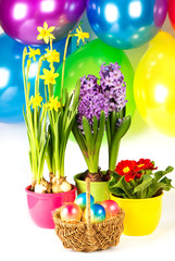 Colorful easter composition. Painted easter eggs with fresh spri