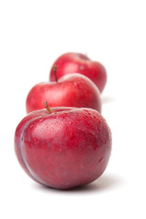 Plum