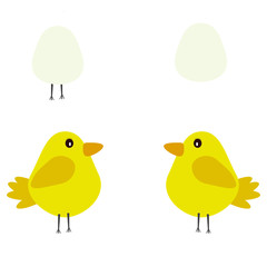 vector chicken and eggs