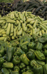 étalage de légumes verts